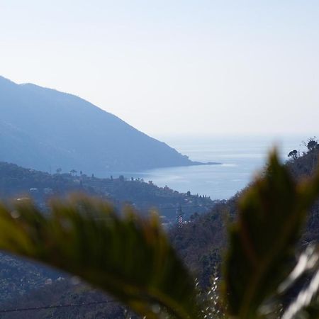 Villa Le Macine Molino Nuovo  エクステリア 写真