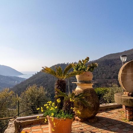 Villa Le Macine Molino Nuovo  エクステリア 写真