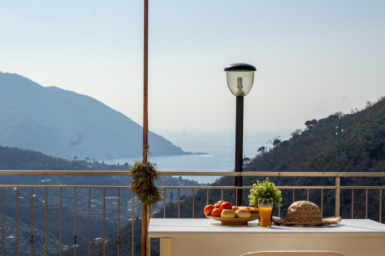 Villa Le Macine Molino Nuovo  エクステリア 写真