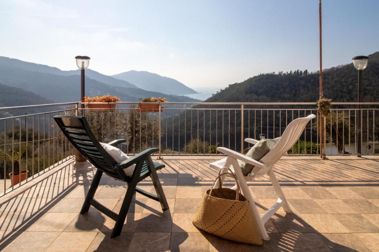 Villa Le Macine Molino Nuovo  エクステリア 写真