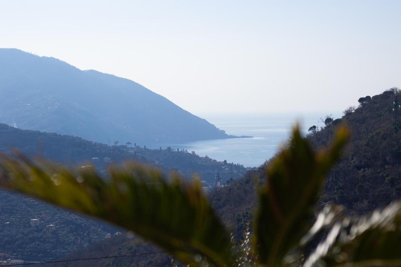 Villa Le Macine Molino Nuovo  エクステリア 写真