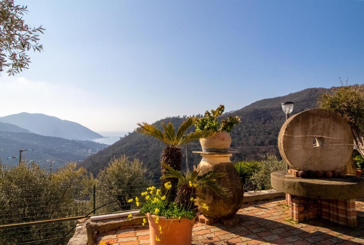 Villa Le Macine Molino Nuovo  エクステリア 写真