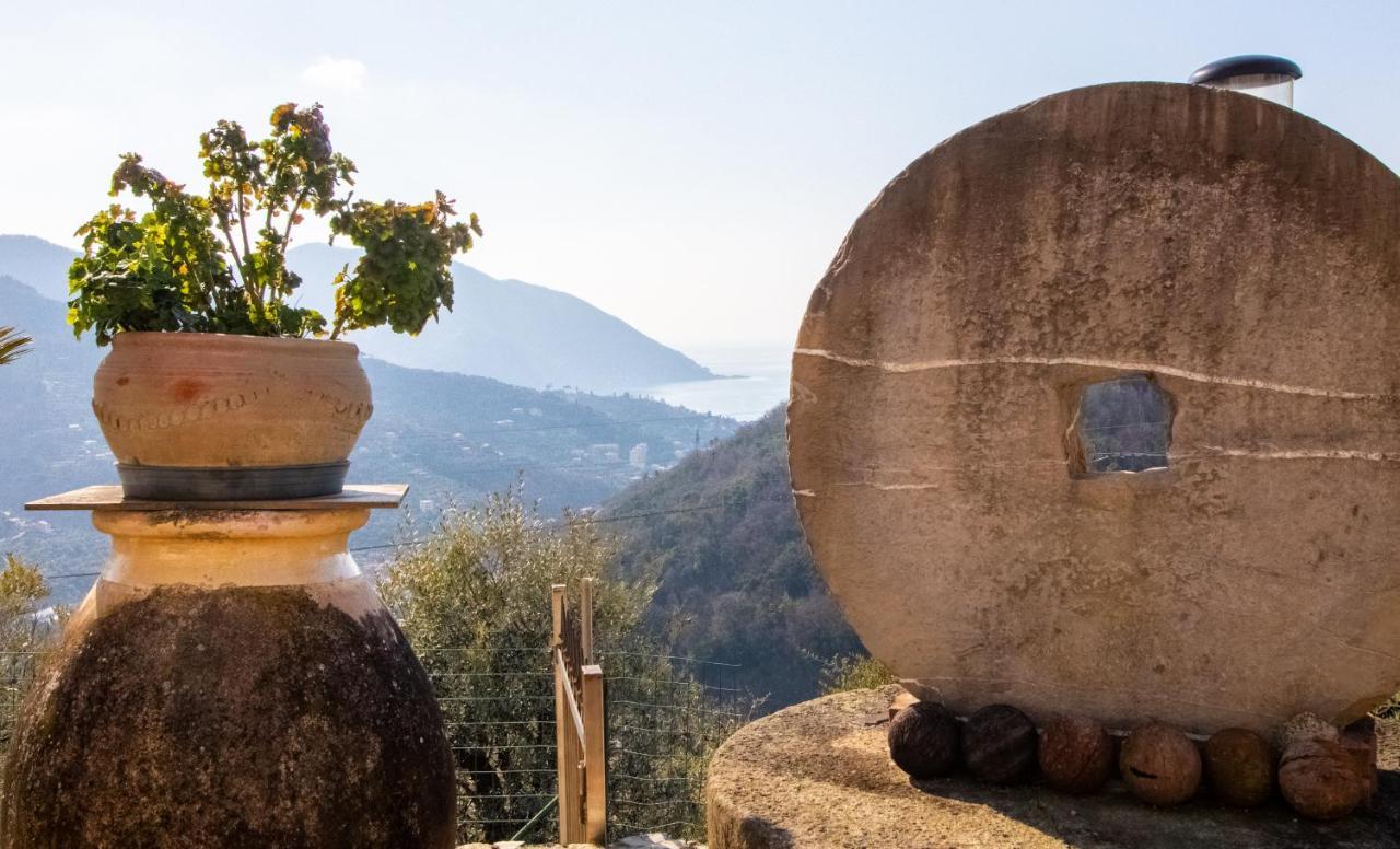 Villa Le Macine Molino Nuovo  エクステリア 写真