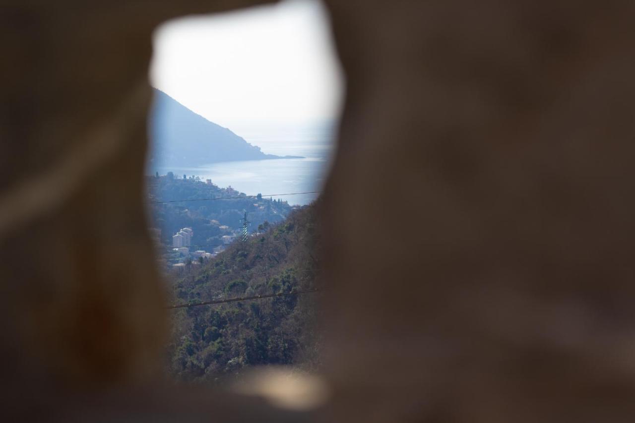Villa Le Macine Molino Nuovo  エクステリア 写真